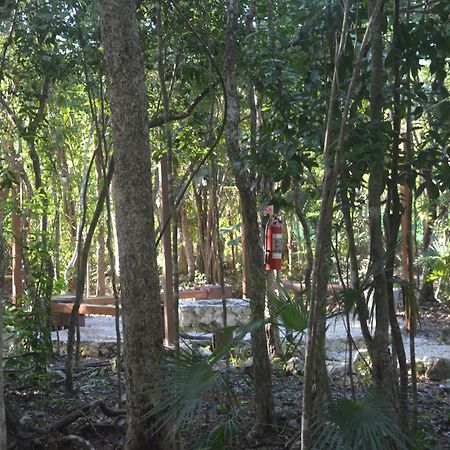 Glamping Mayan Glam Tulum Ngoại thất bức ảnh