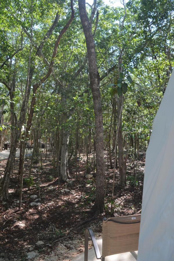 Glamping Mayan Glam Tulum Ngoại thất bức ảnh