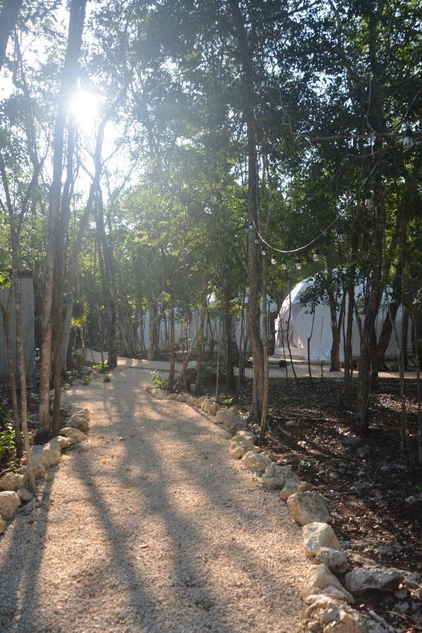 Glamping Mayan Glam Tulum Ngoại thất bức ảnh