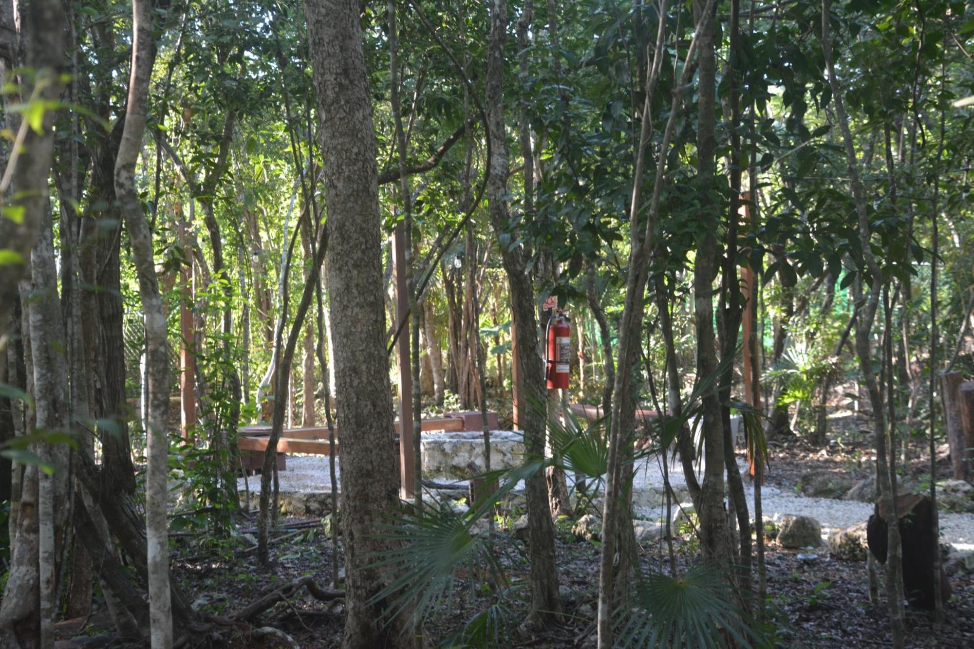 Glamping Mayan Glam Tulum Ngoại thất bức ảnh